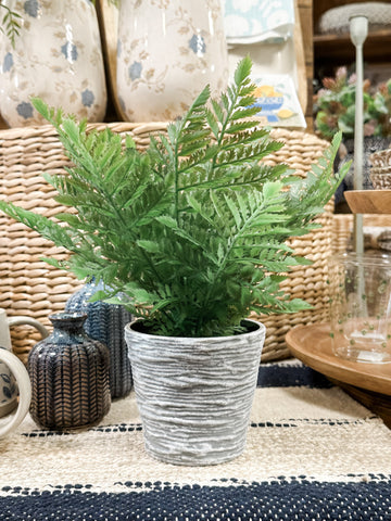 16" Potted Fern, 2 Styles