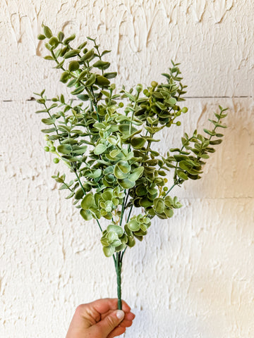 Eucalyptus Bush With White Berries