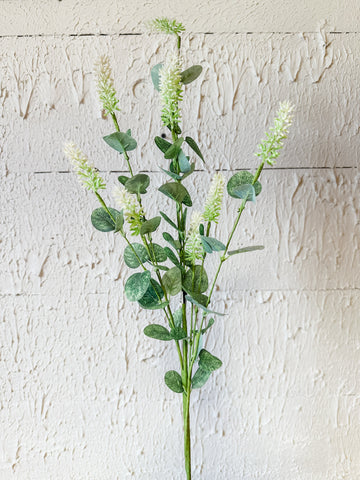 Cream Lavender With Eucalyptus Leaves Stem