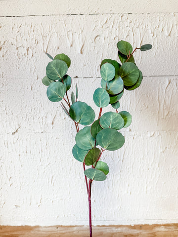 Seeded Eucalyptus Spray