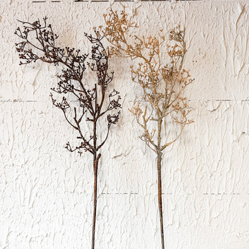 Fall Sedum Spray