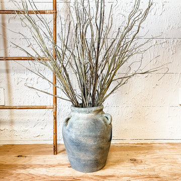 Curly Willow Branch