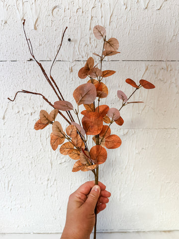 Brown Eucalyptus & Twig Pick