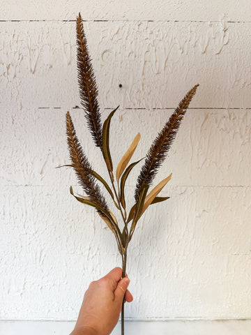 Coffee Bristlegrass Spray