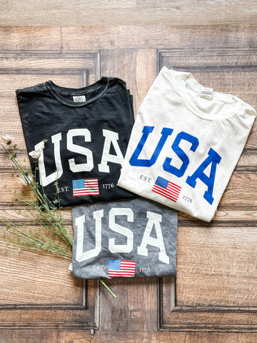 USA Mineral Washed Long Sleeve Graphic