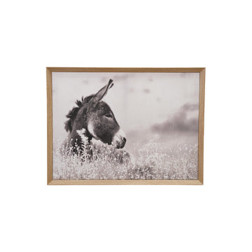 MDF Framed Canvas Wall Décor with Donkey Photography