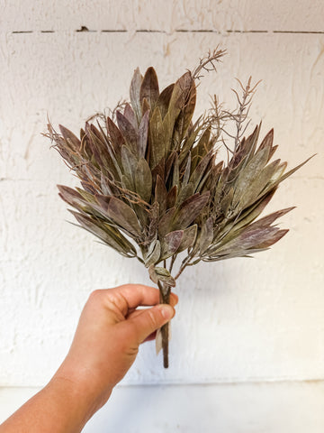 Small Bay Leaf Bush