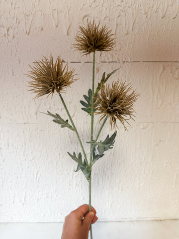 Dusty Brown Spider Mum Spray