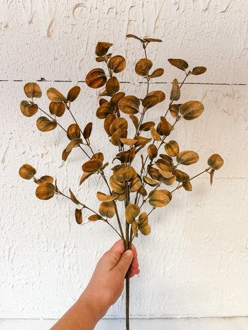 Ochre Fall Eucalyptus Bush
