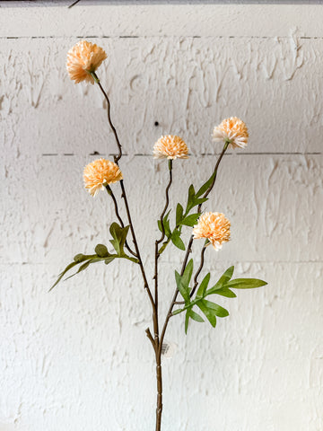 Peach Color Onion Spray