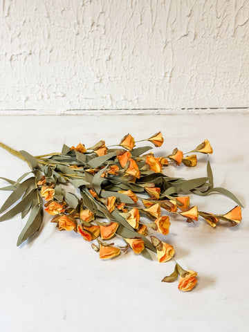 Orange Wildflower Bush