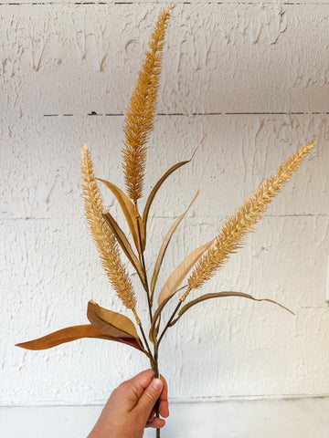 Sienna Bristlegrass Spray