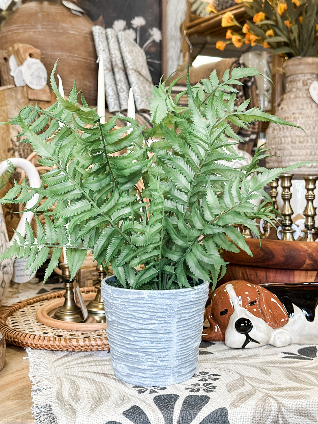 16" Potted Fern, 2 Styles