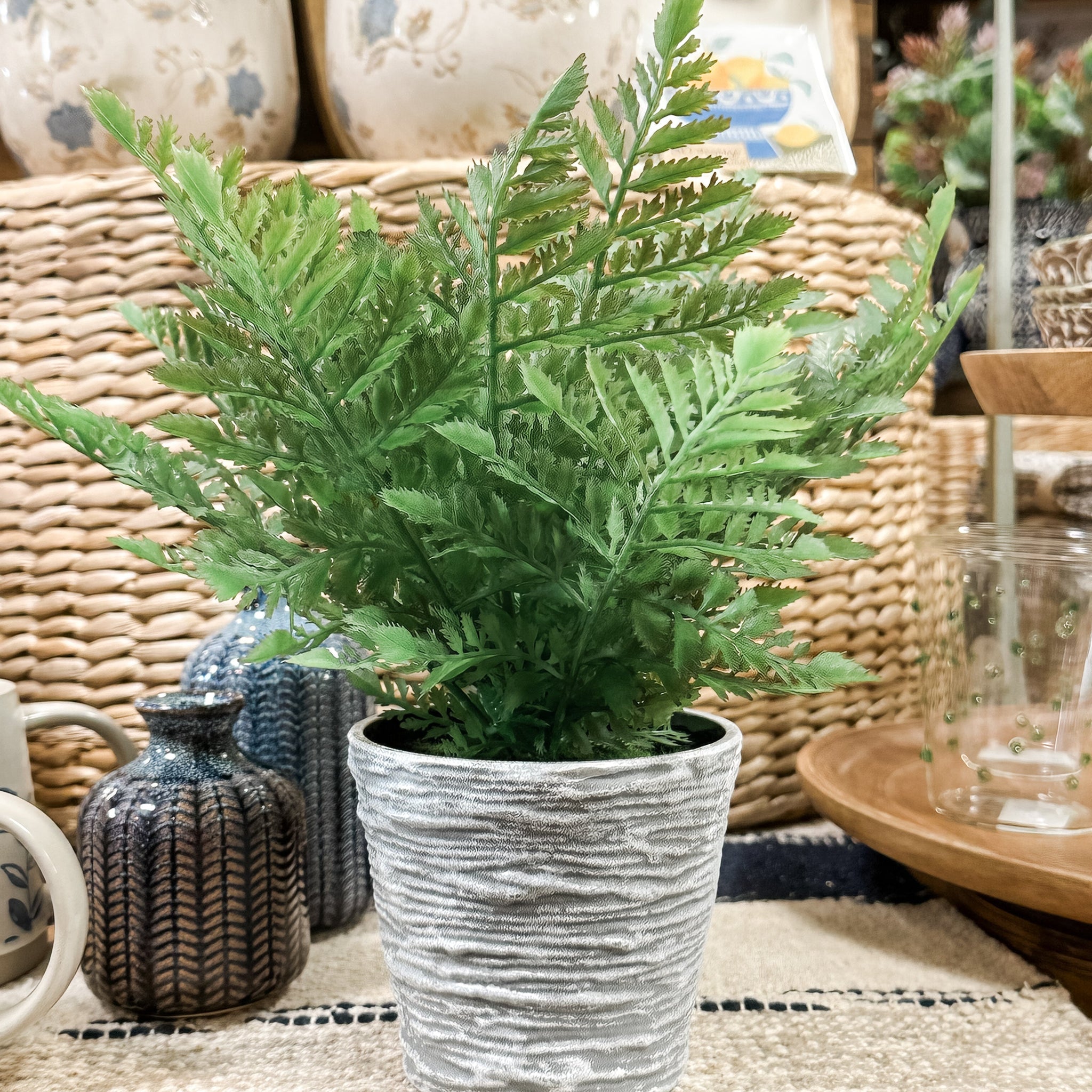 16" Potted Fern, 2 Styles