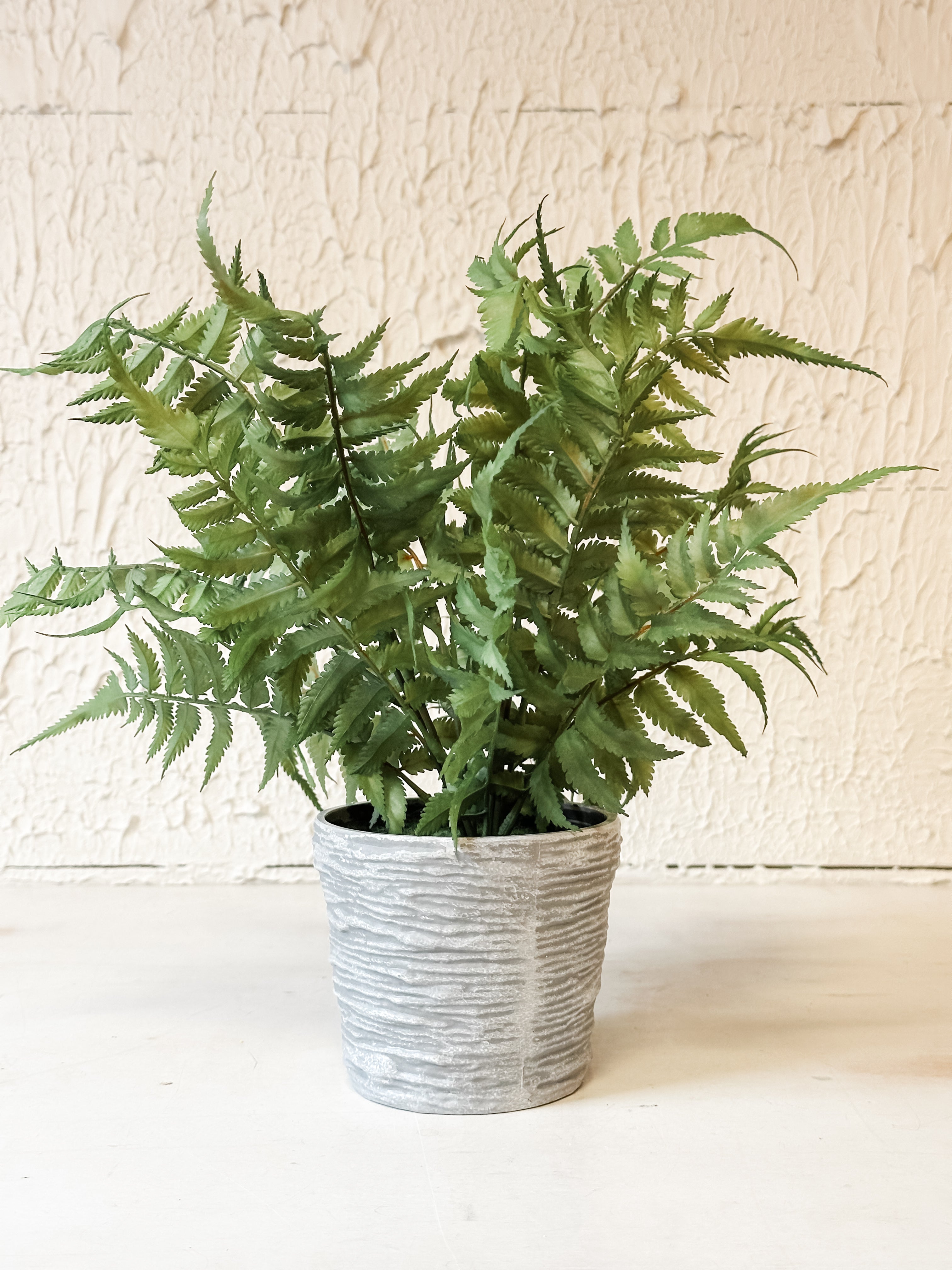16" Potted Fern, 2 Styles