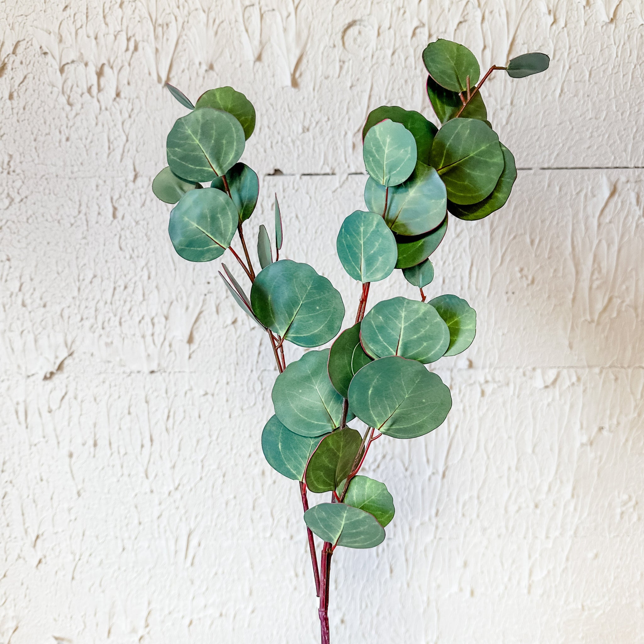 Seeded Eucalyptus Spray