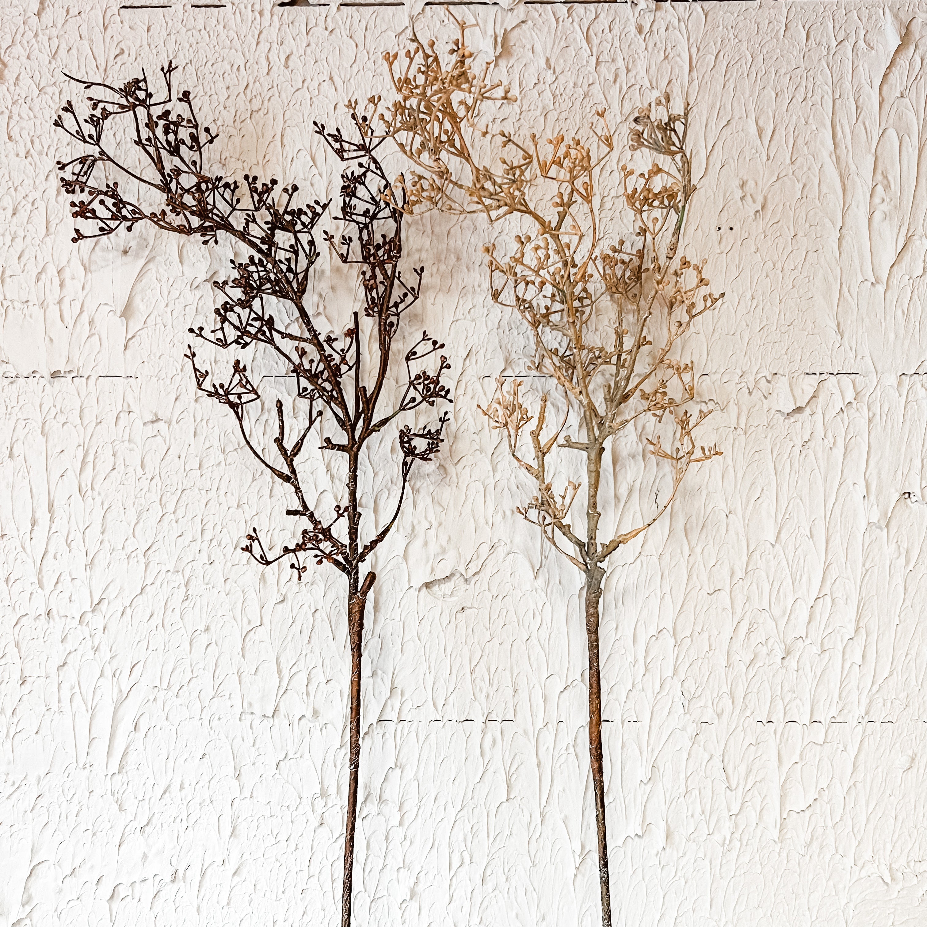 Fall Sedum Spray