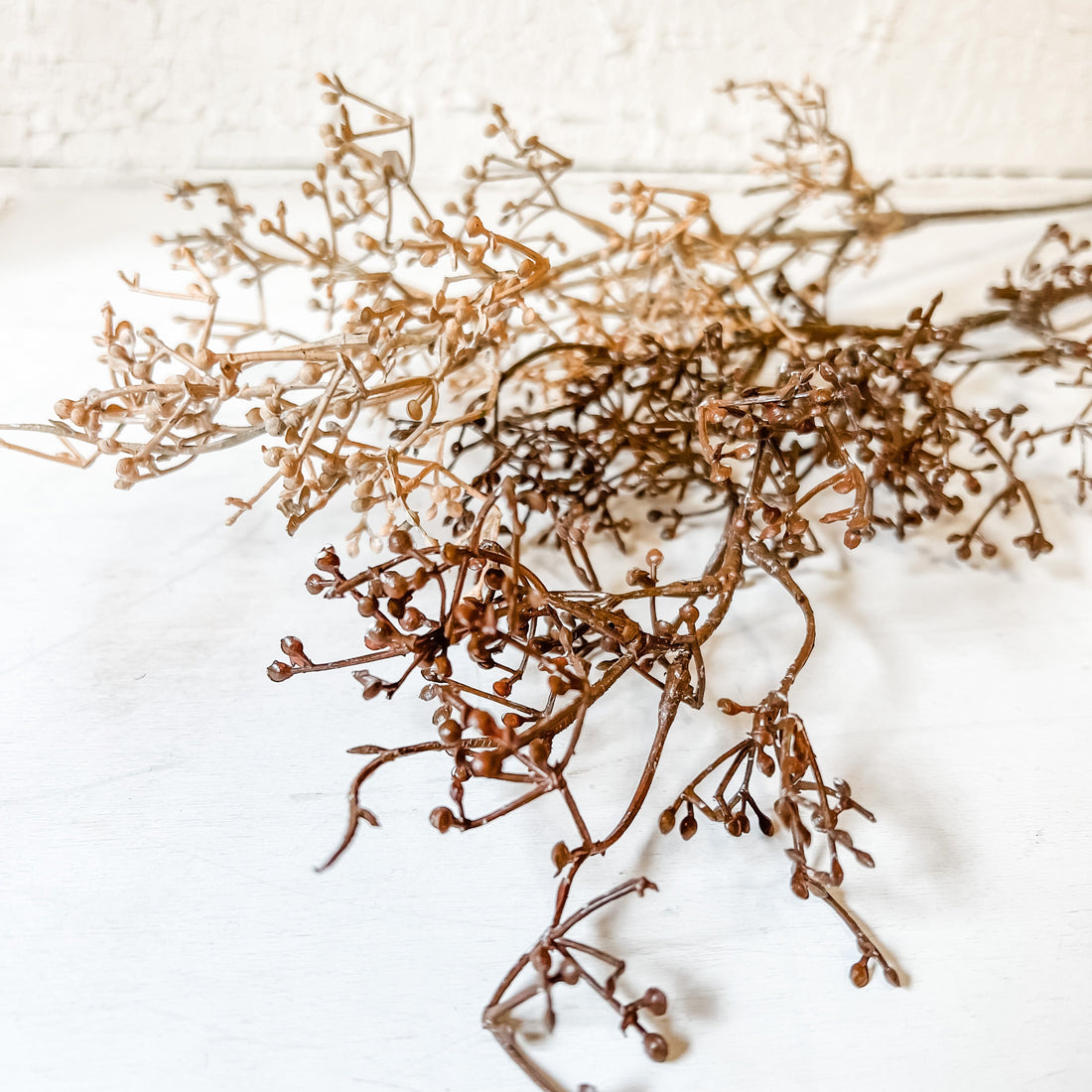 Fall Sedum Spray