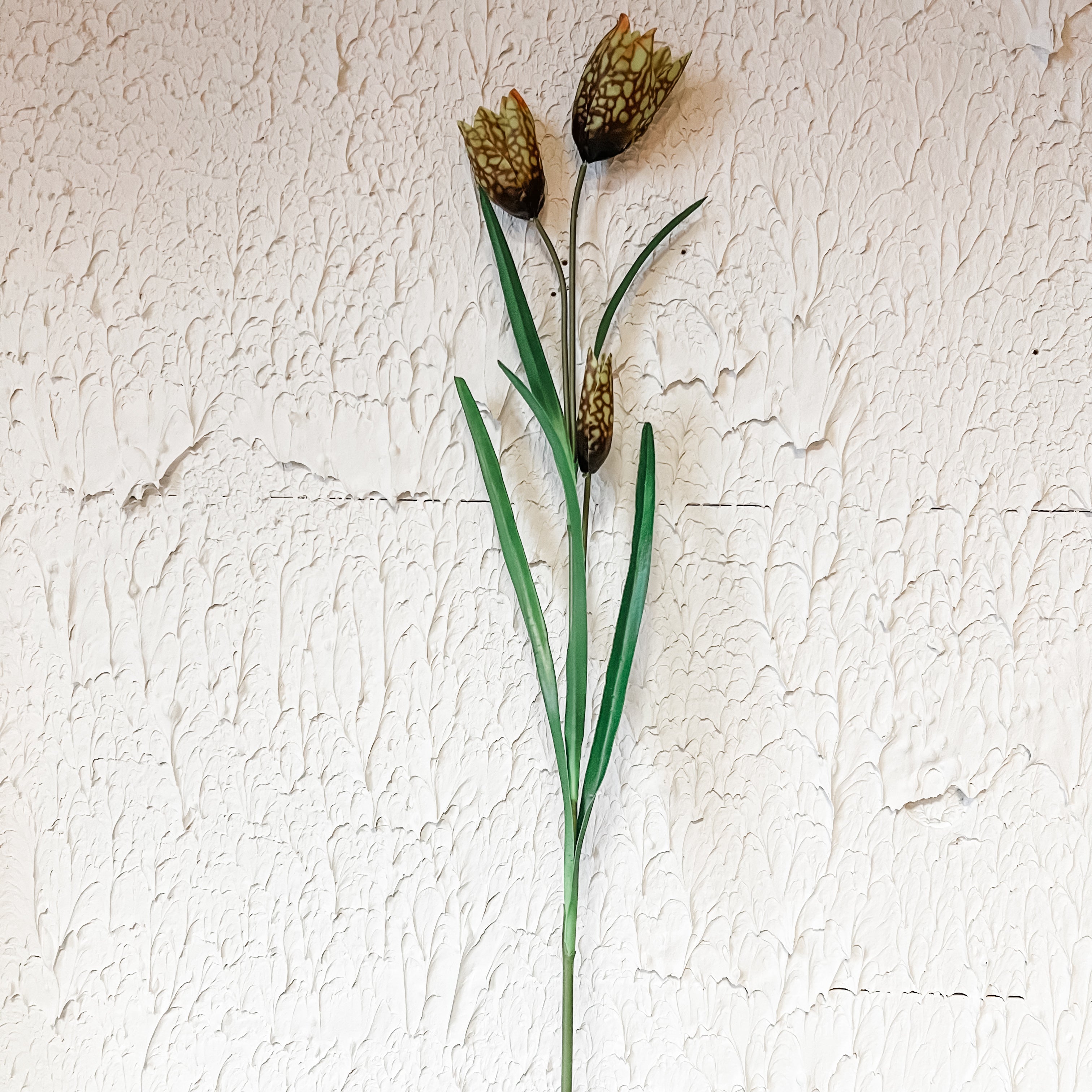 Fritillaria Spray, Green