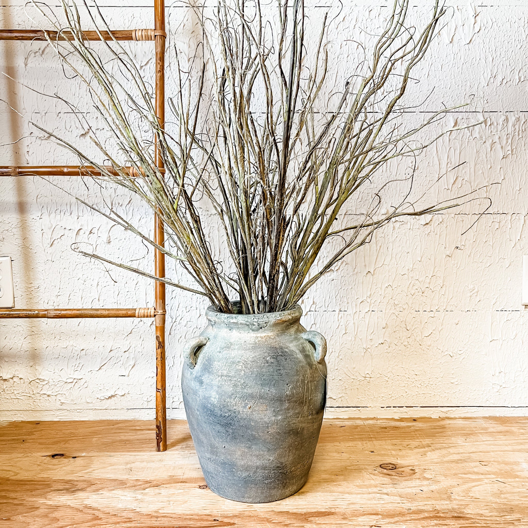 Curly Willow Branch