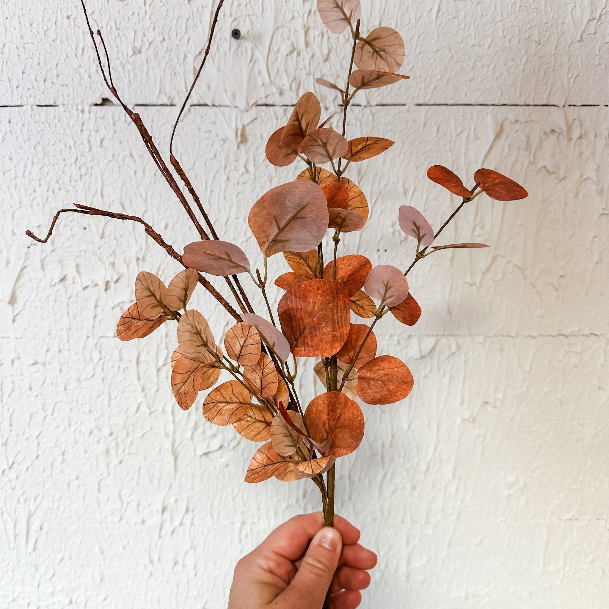 Brown Eucalyptus & Twig Pick