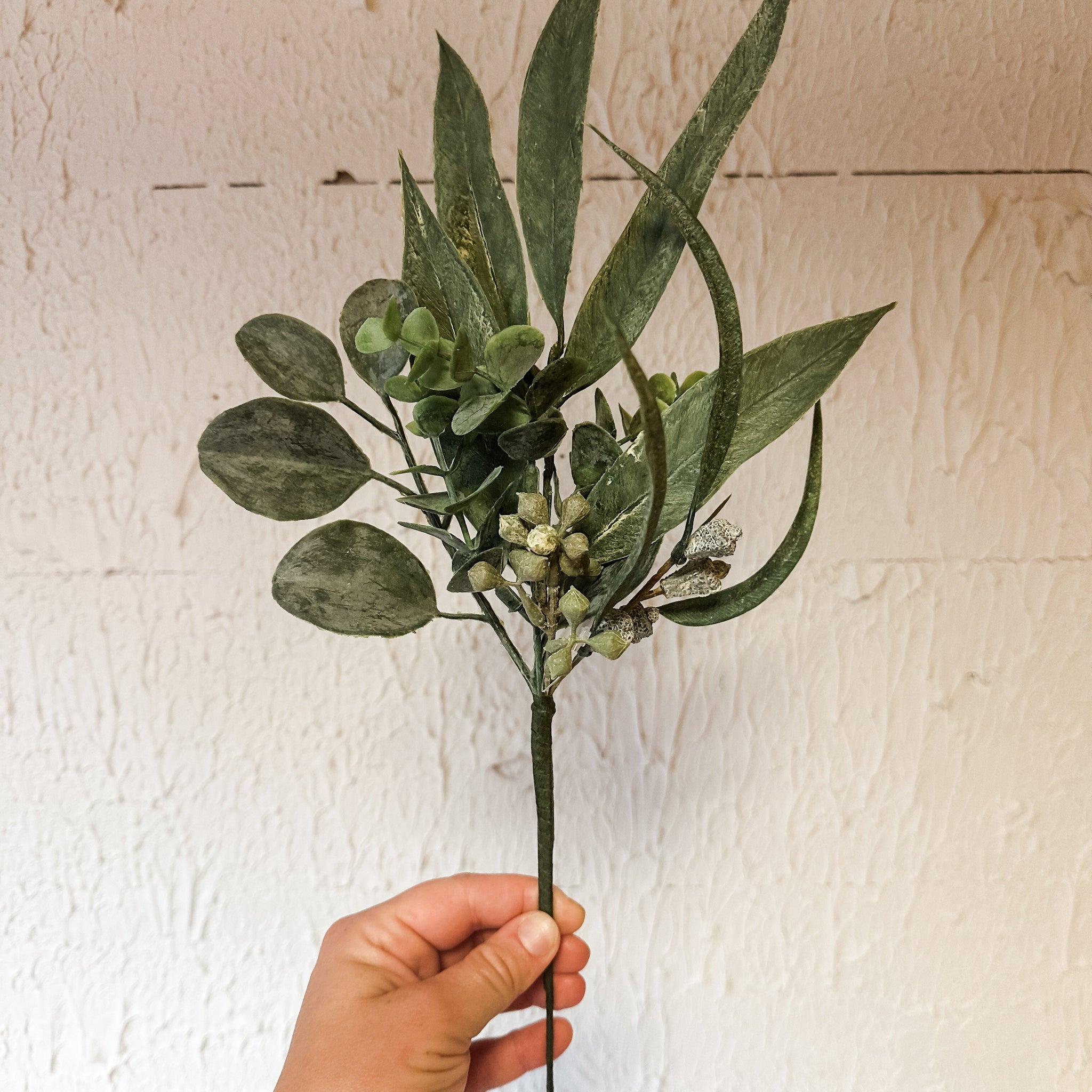 California Eucalyptus Pick