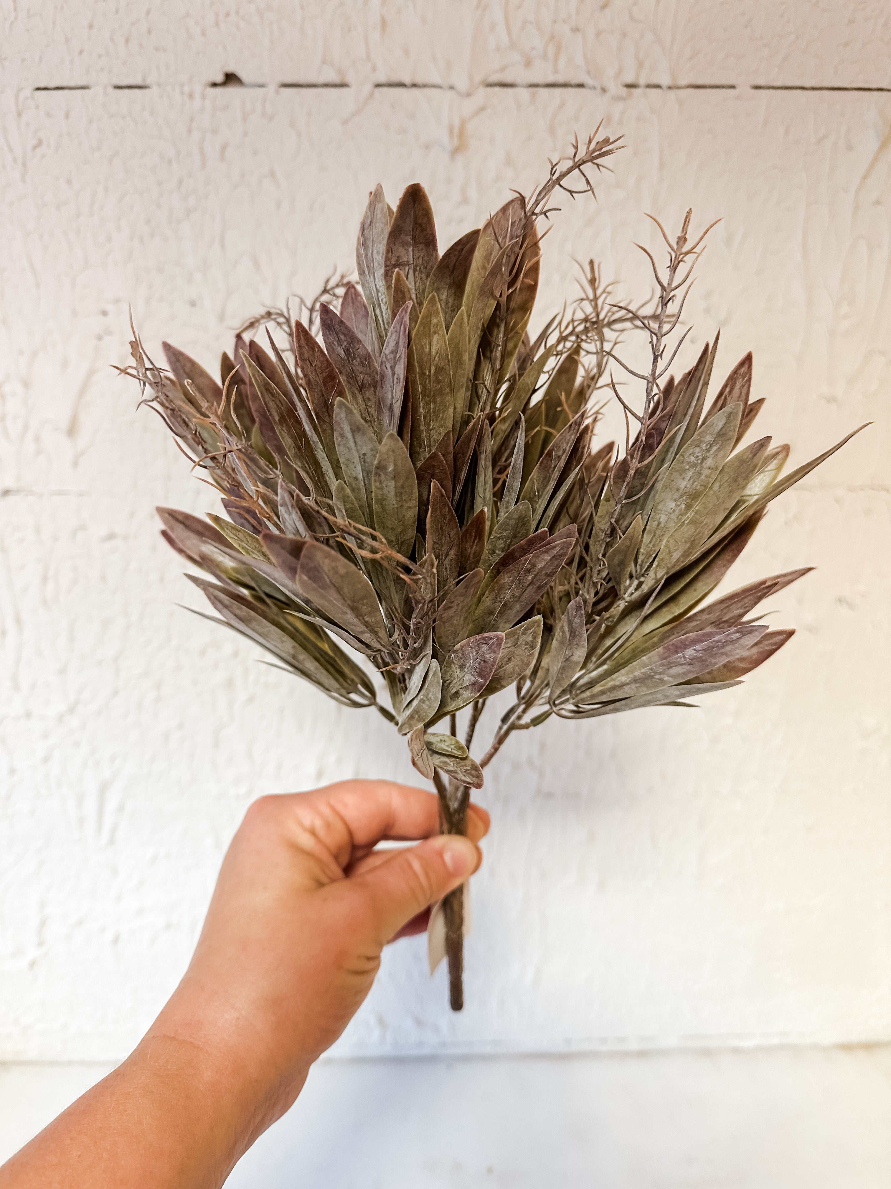 Small Bay Leaf Bush