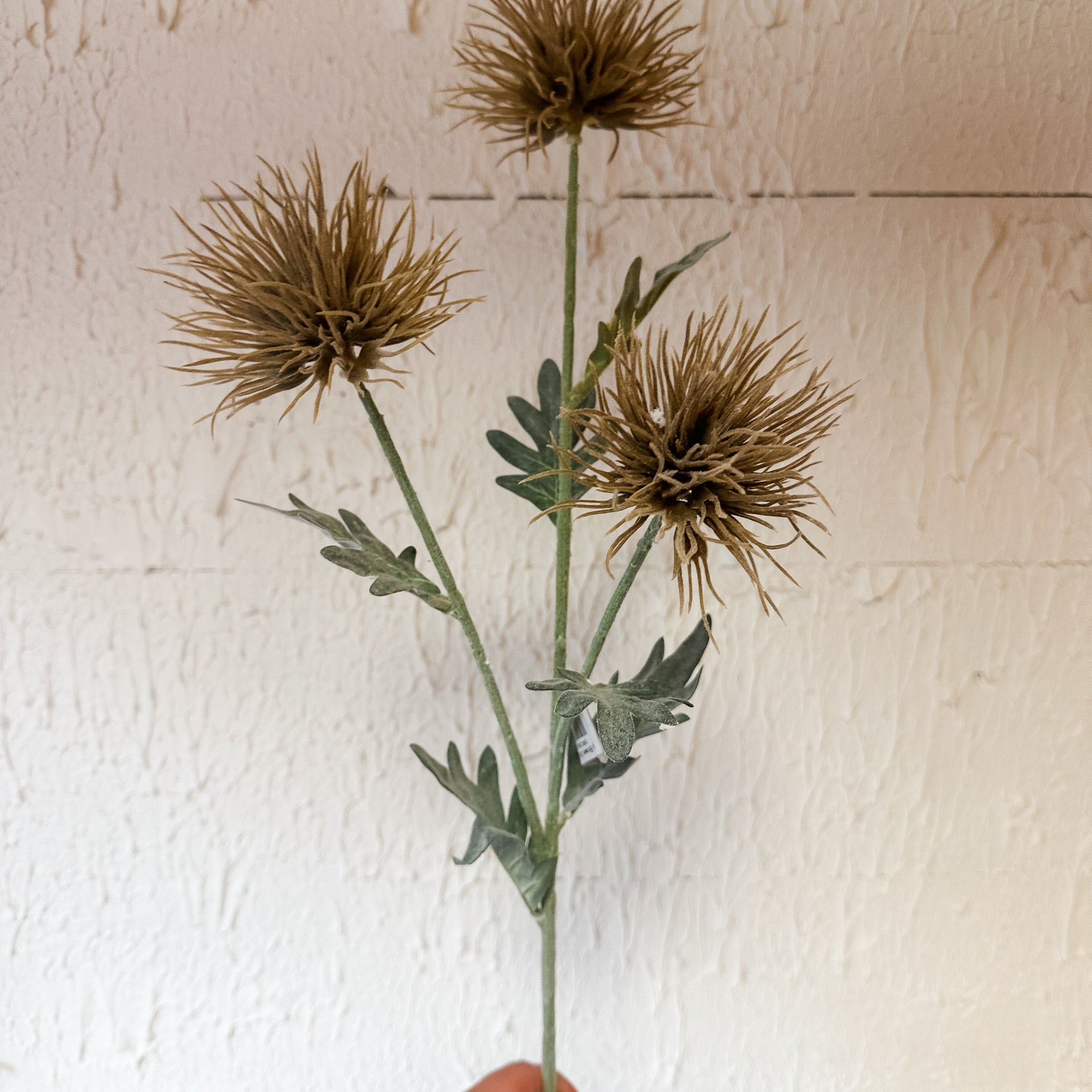 Dusty Brown Spider Mum Spray