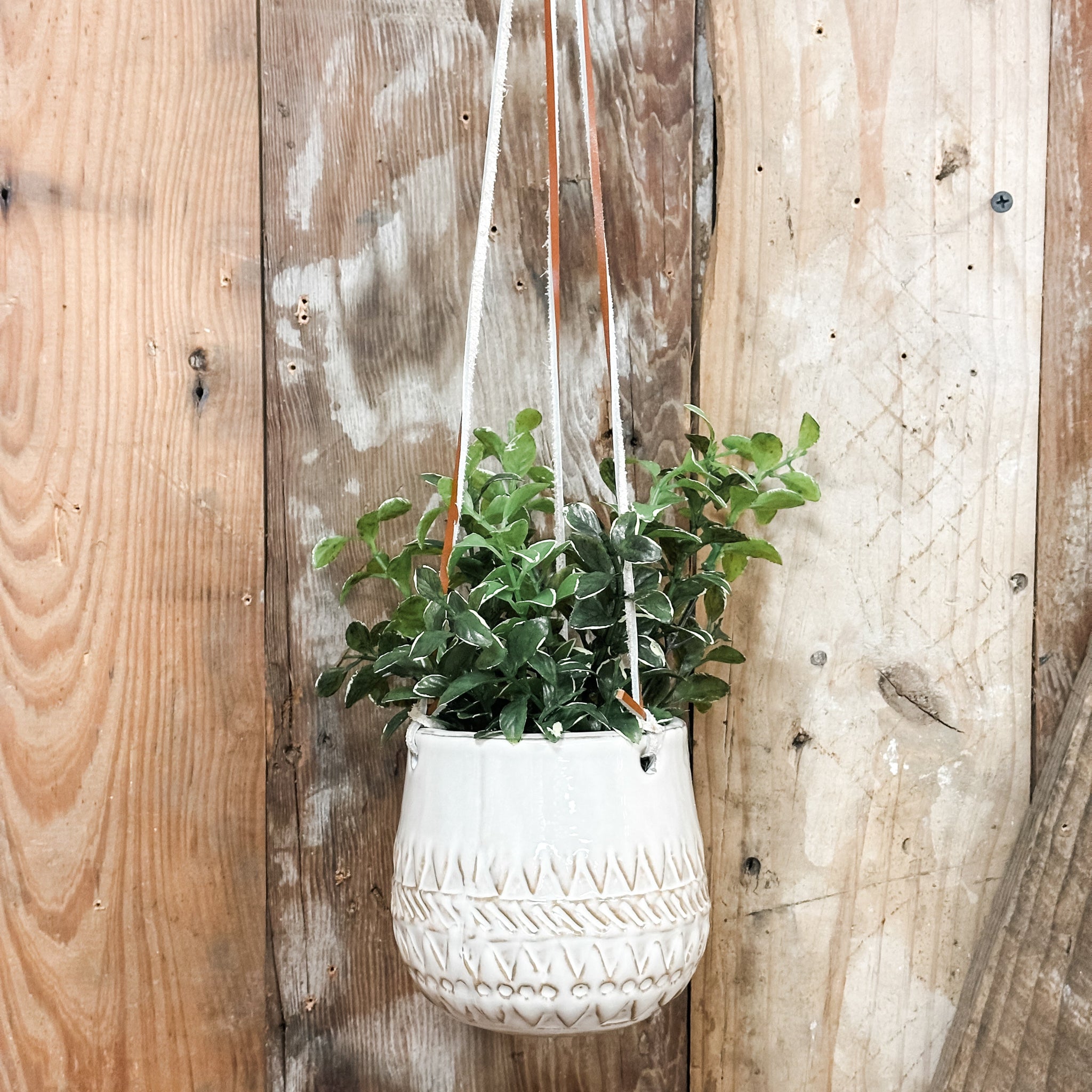 Hanging Ceramic Patterned Planter