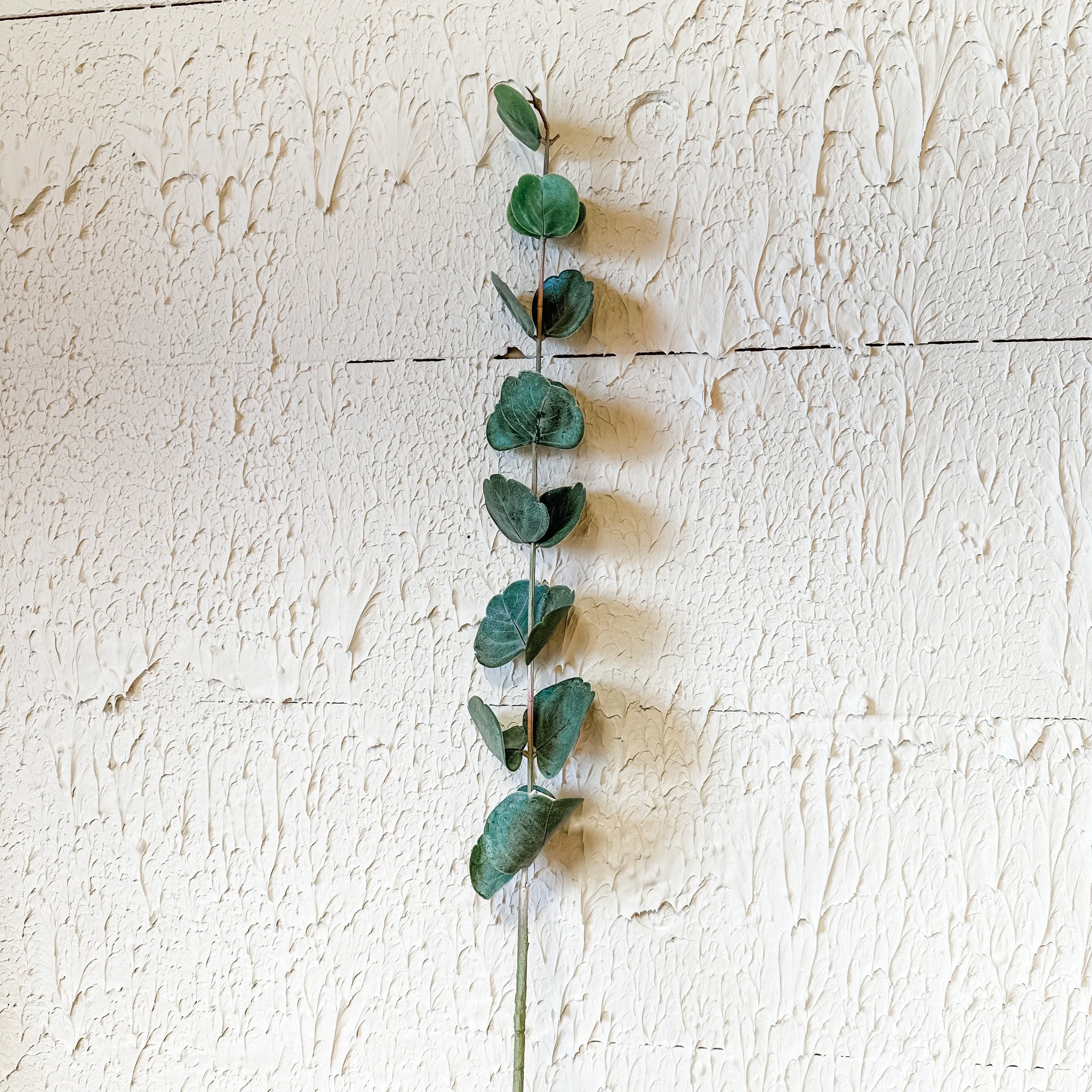 Green Cotinus Leaf Spray