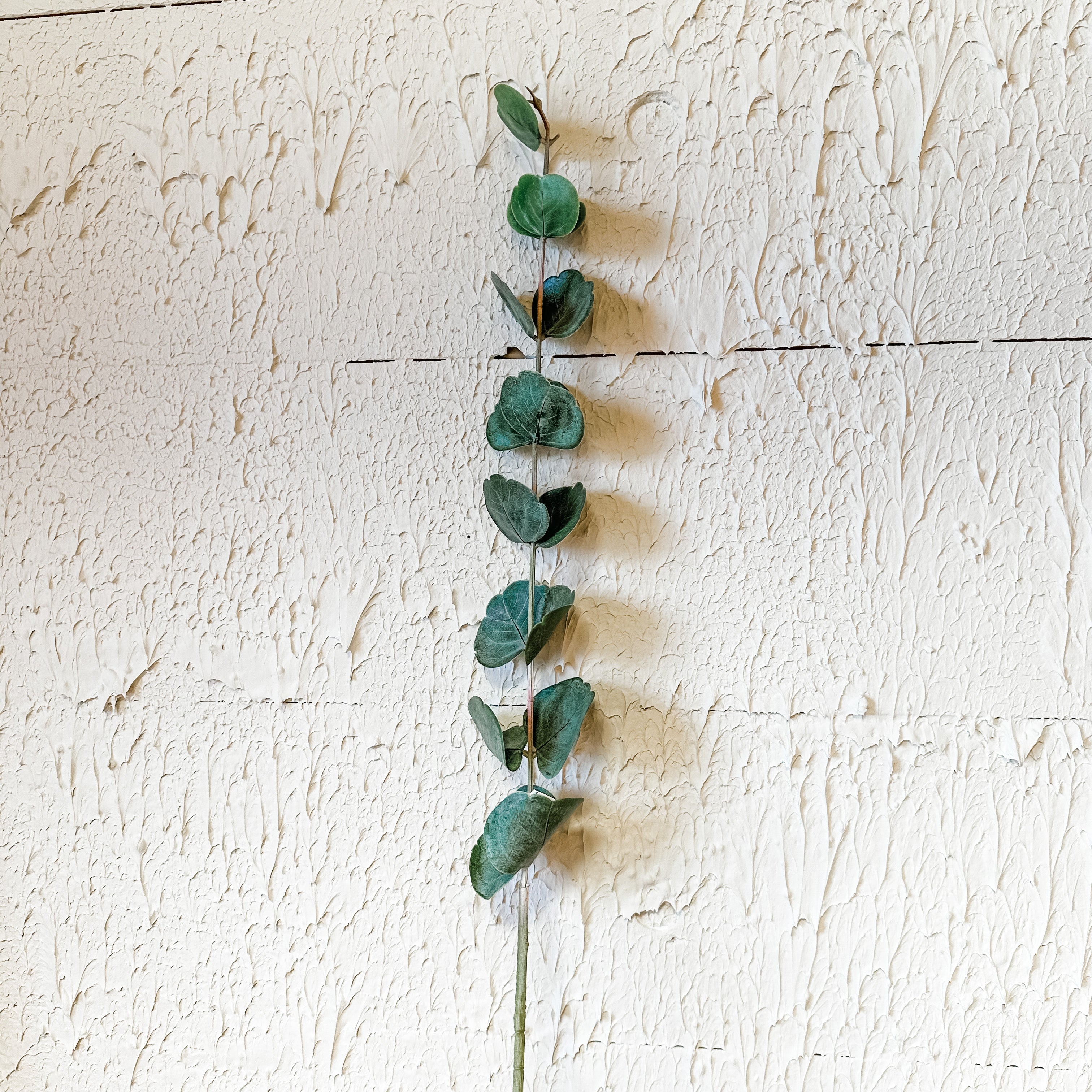Green Cotinus Leaf Spray