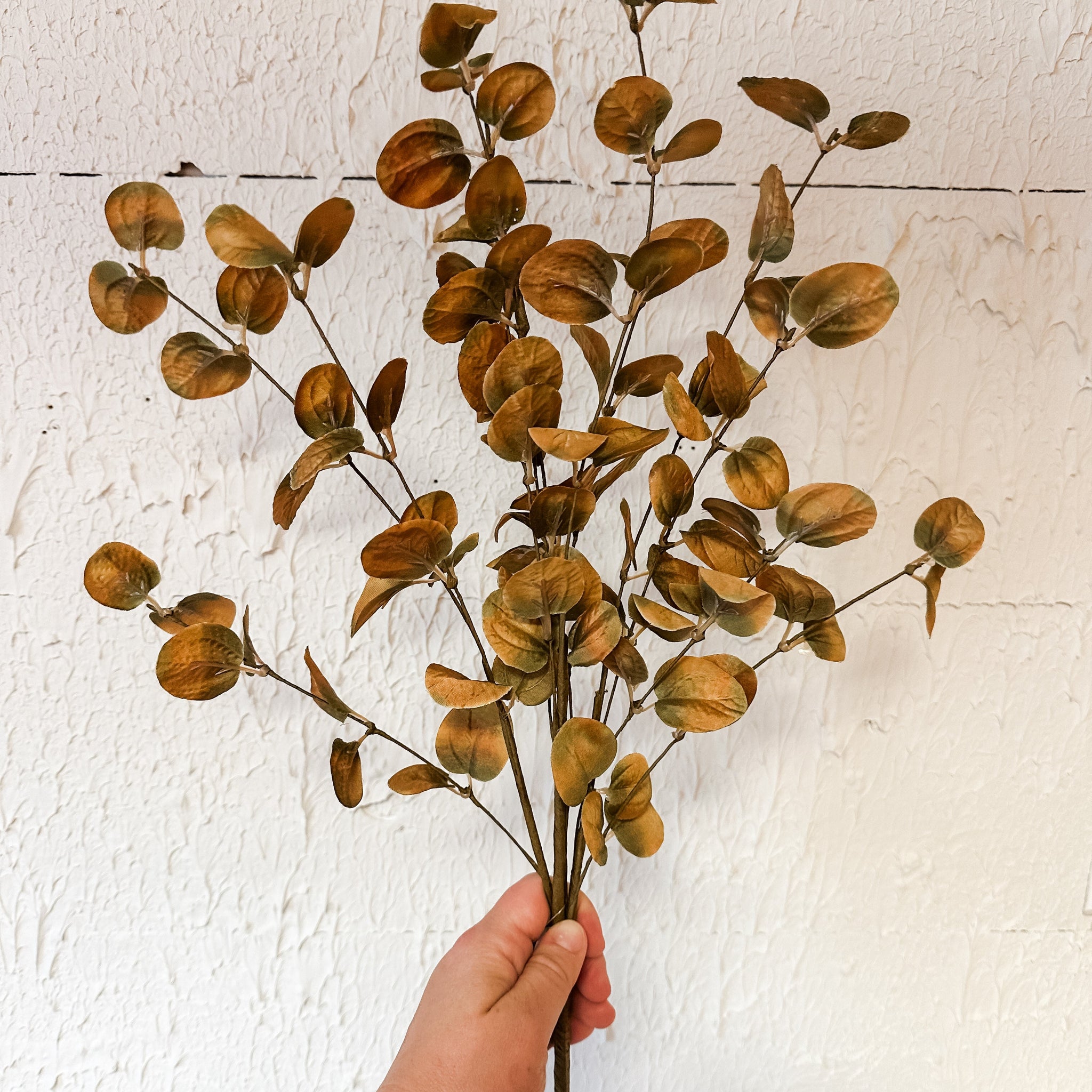 Ochre Fall Eucalyptus Bush