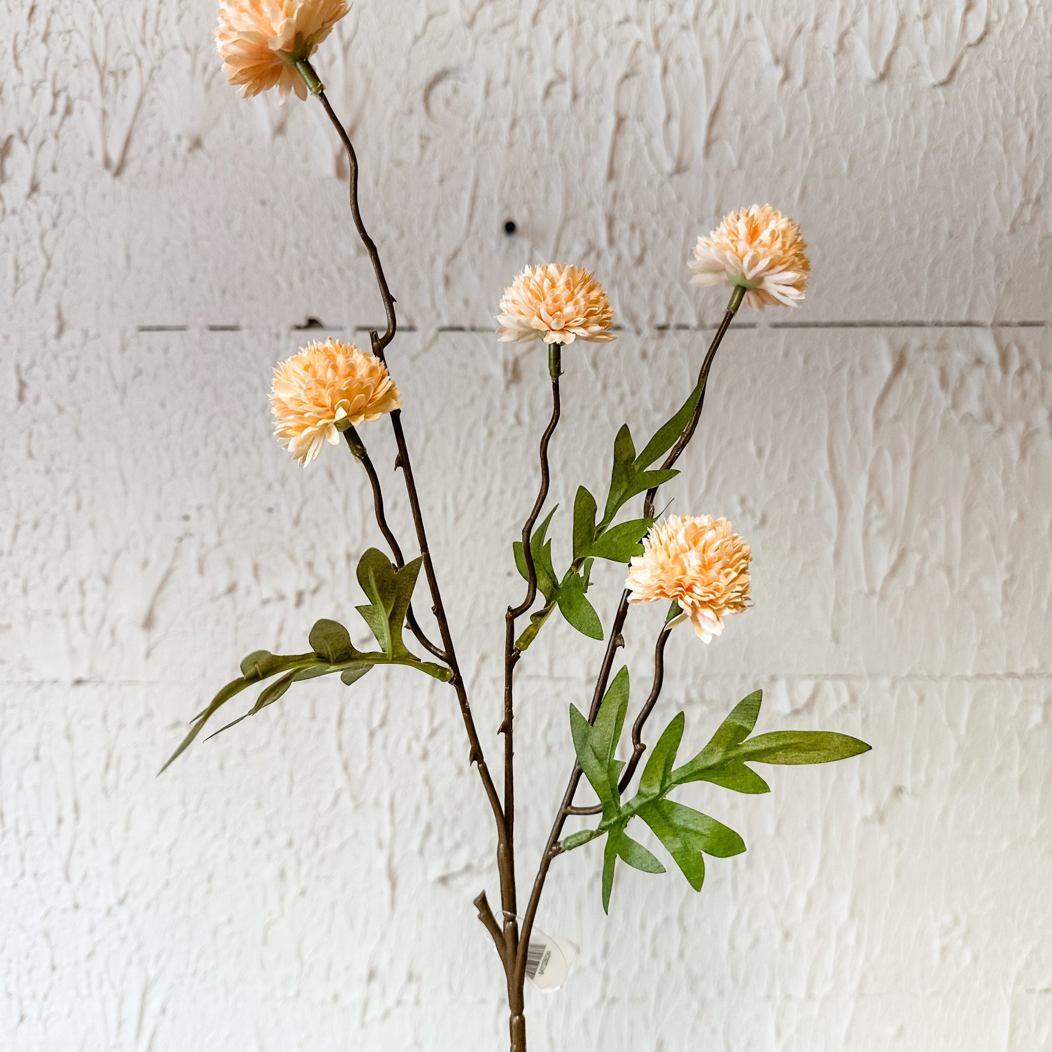 Peach Color Onion Spray