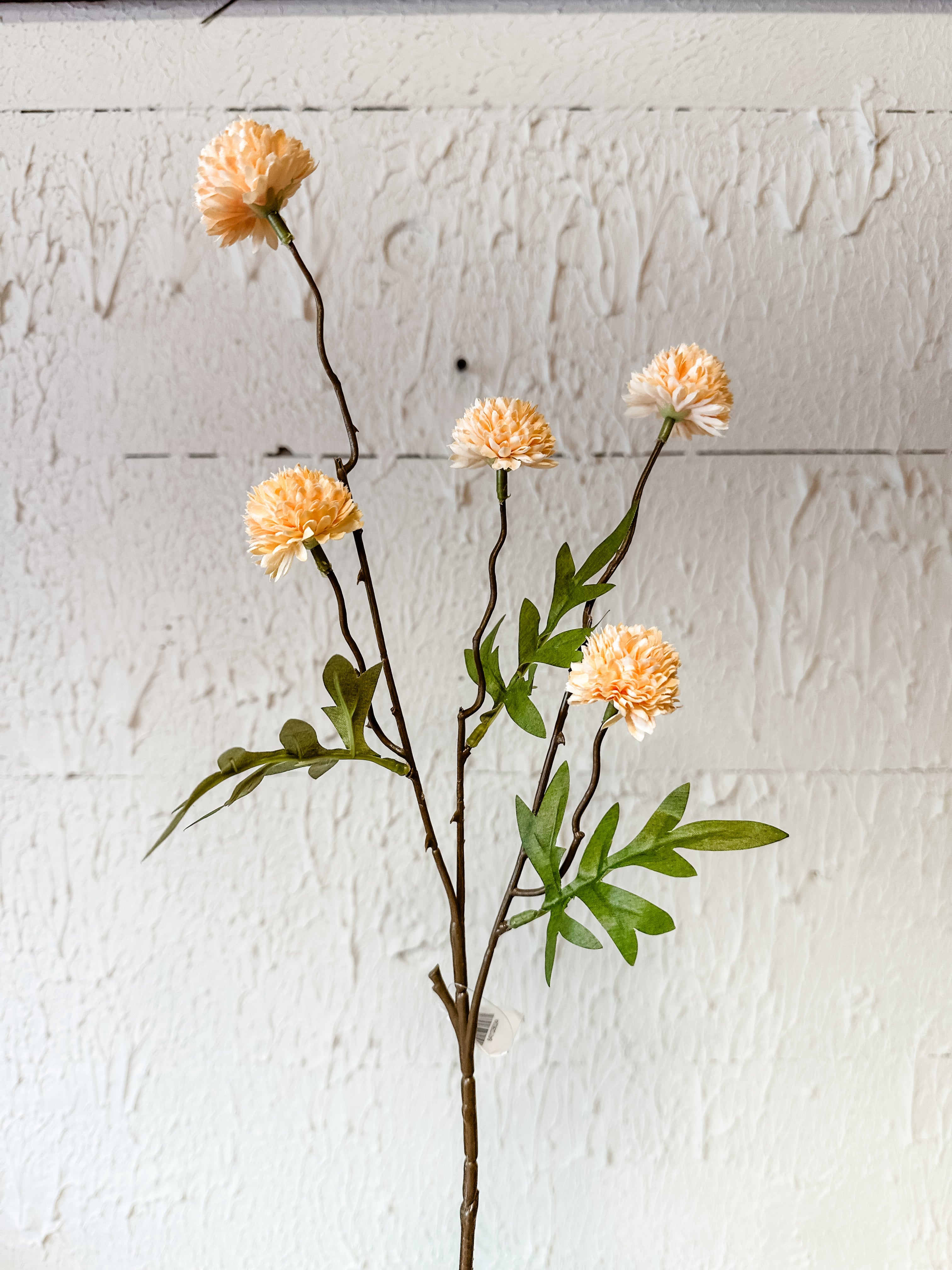 Peach Color Onion Spray