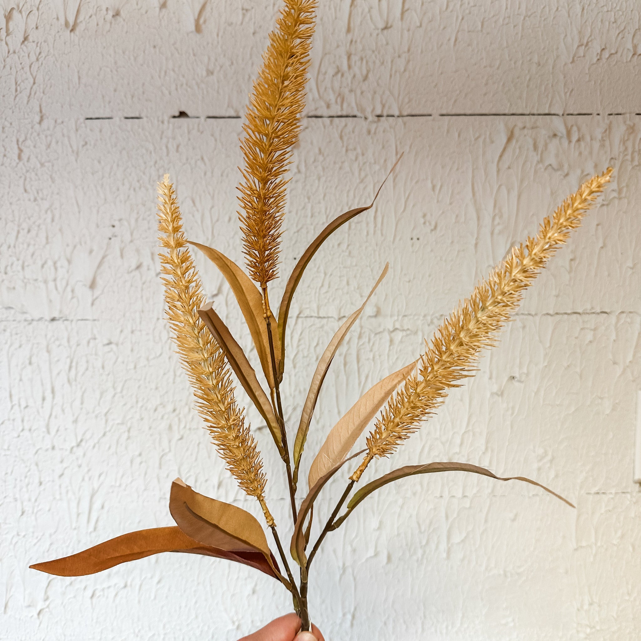 Sienna Bristlegrass Spray