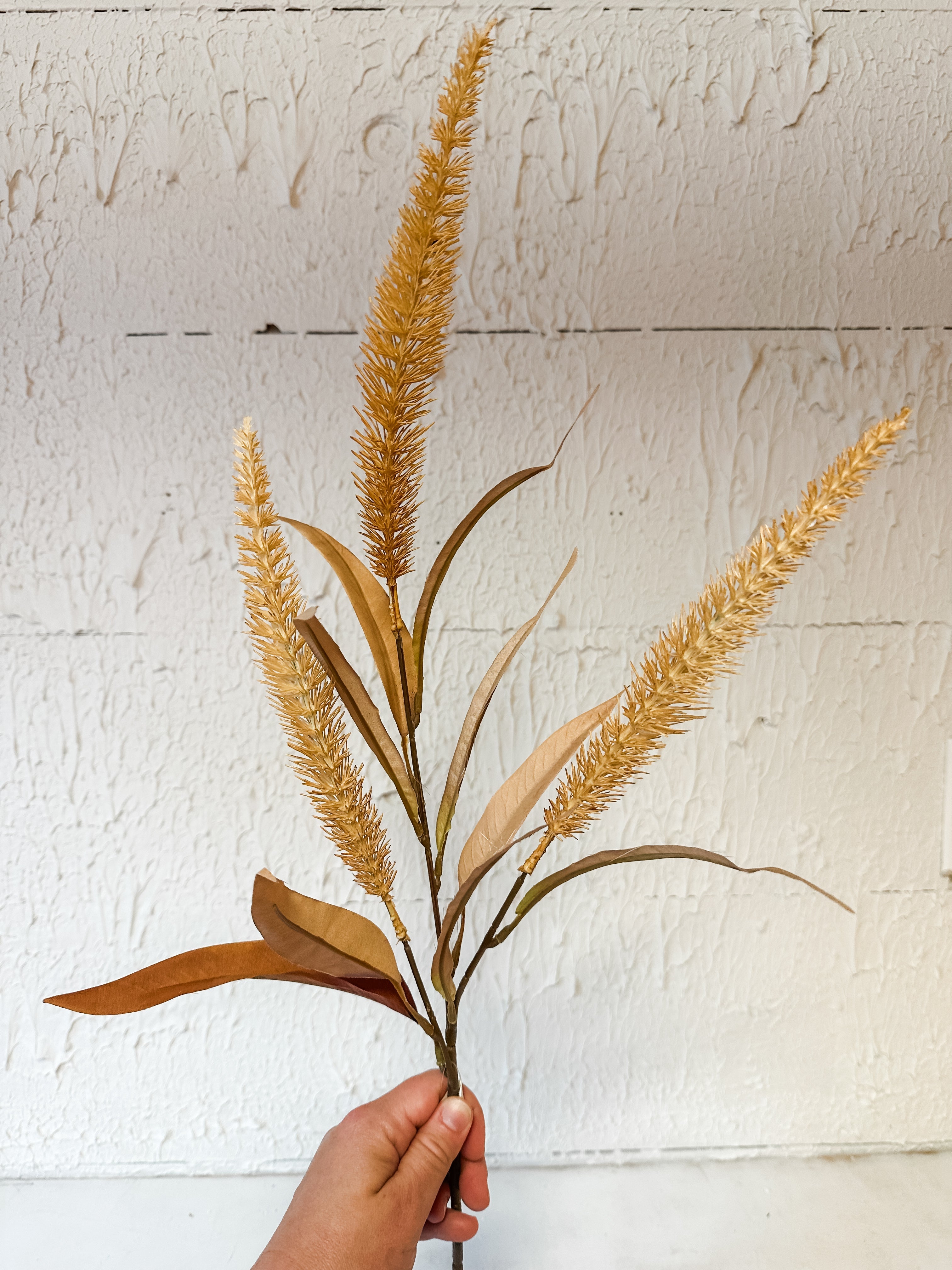 Sienna Bristlegrass Spray
